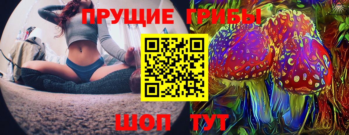 Шебекино  Галлюциногенные грибы Psilocybine cubensis  купить наркоту  Вход с VPN  Галлюциногенные грибы Psilocybine cubensis 